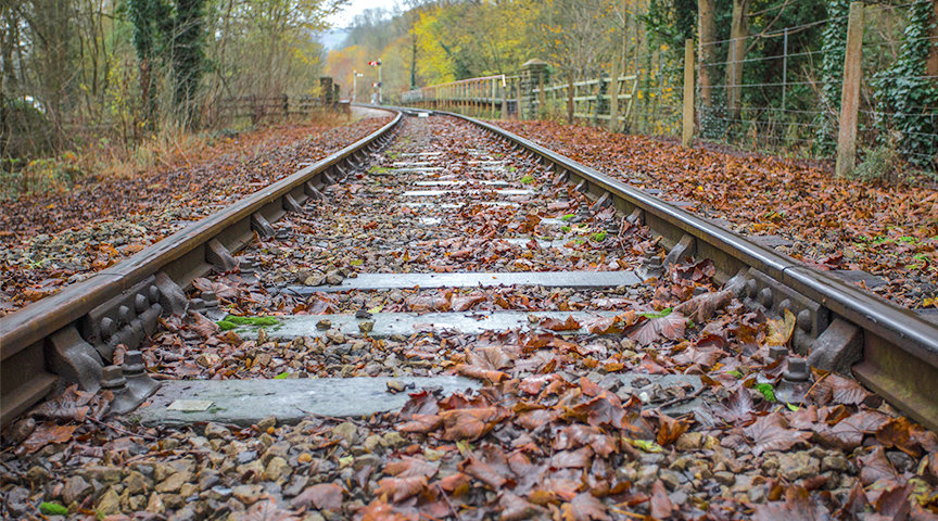 RSSB TO USE ARTIFICIAL INTELLIGENCE TO HELP REDUCE TRAIN DELAYS CAUSED BY 'LEAVES ON THE LINE'